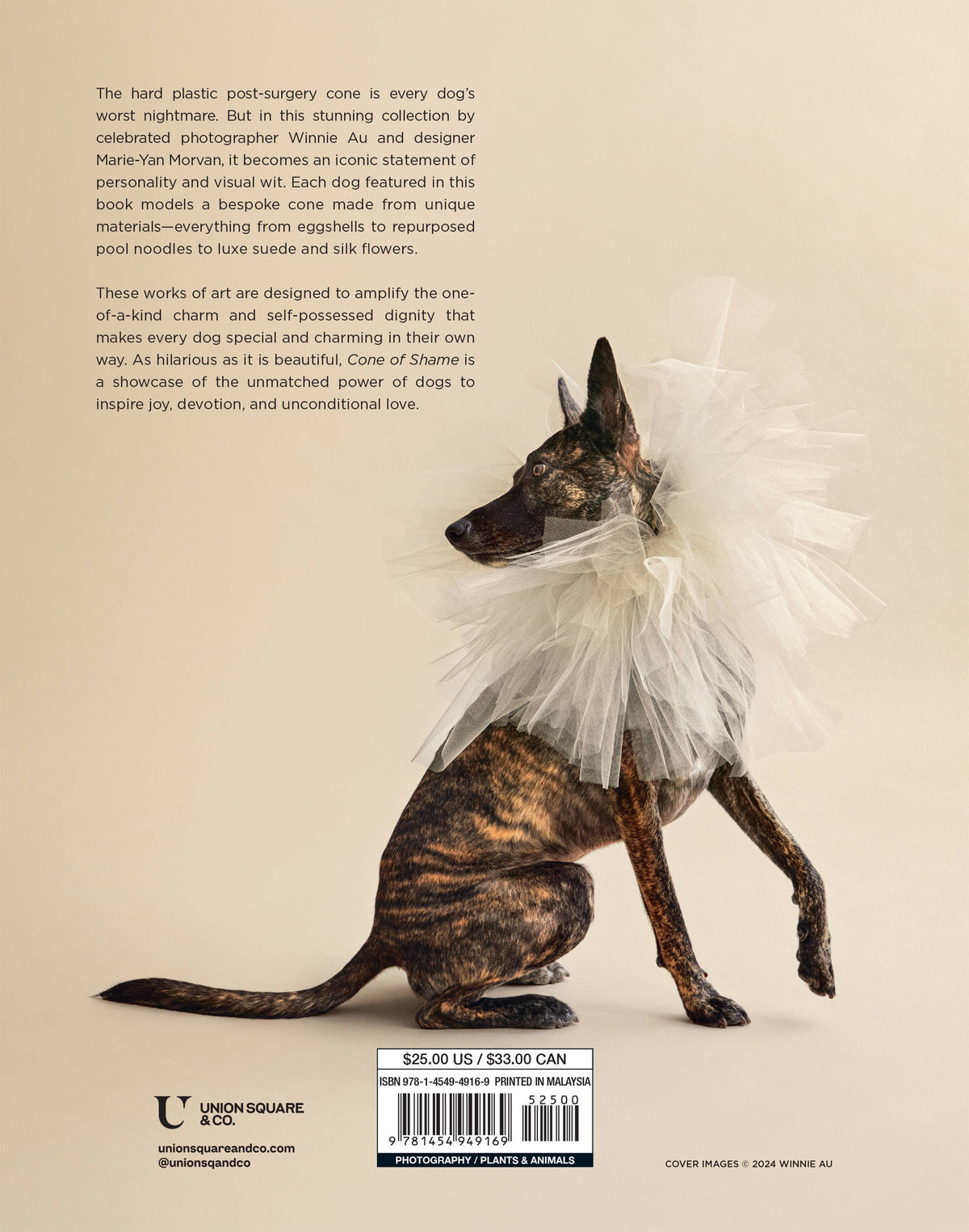 Book - Cone of Shame