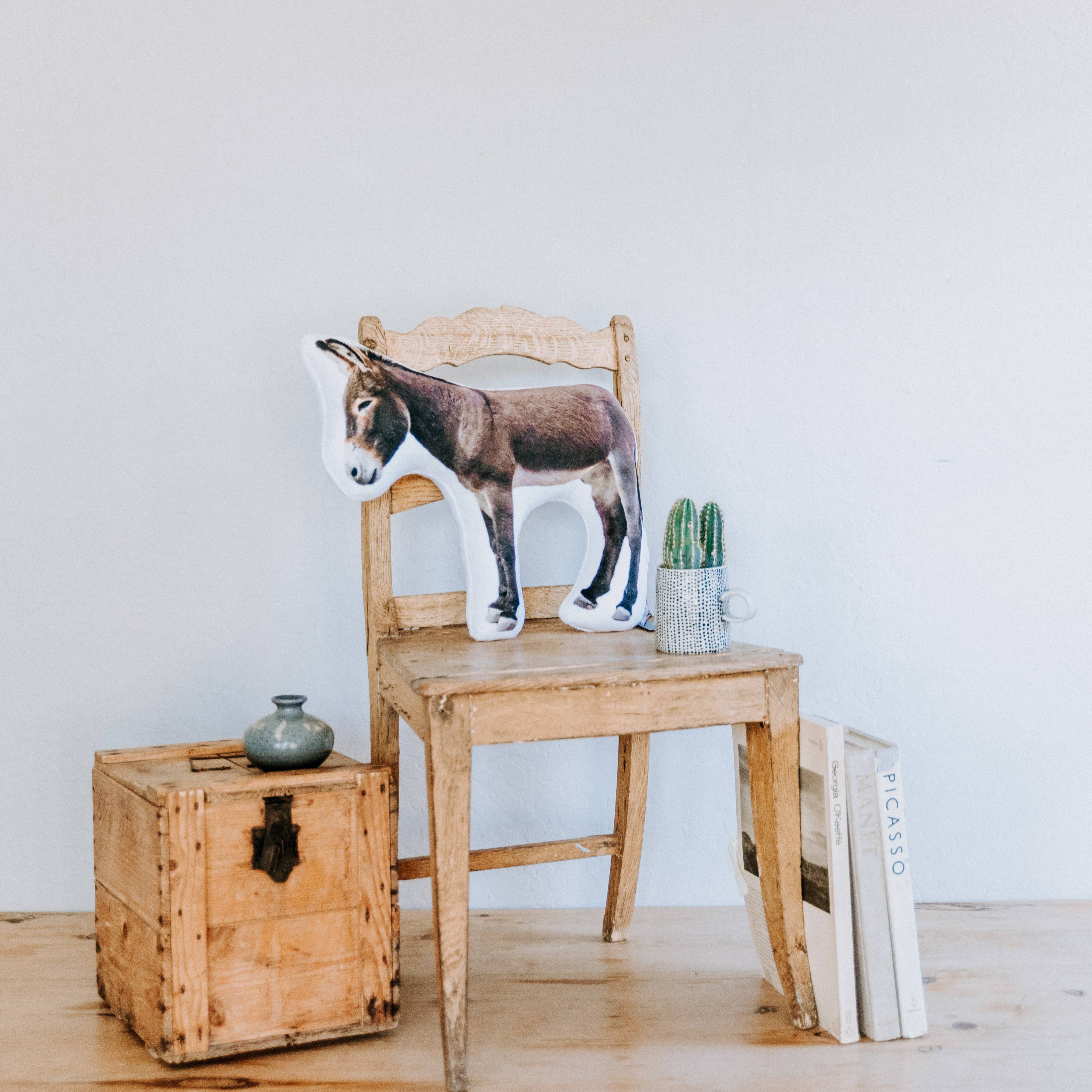 Arizona Wild Burro Minky Pillow, Christmas Gift