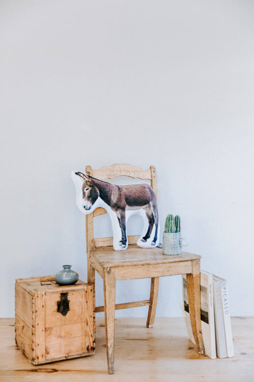 Arizona Wild Burro Minky Pillow, Christmas Gift