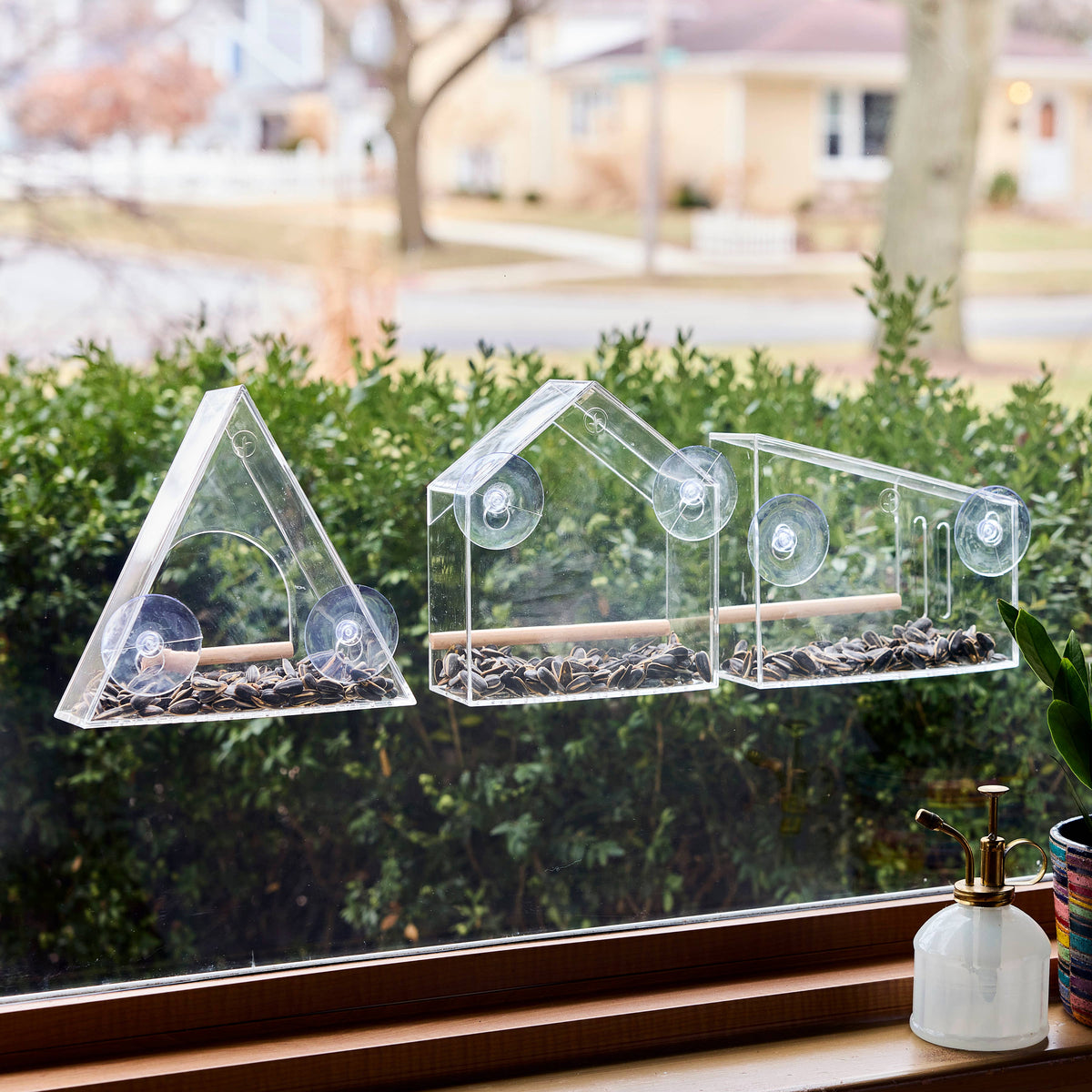 Bird Feeders - Birds on the Block