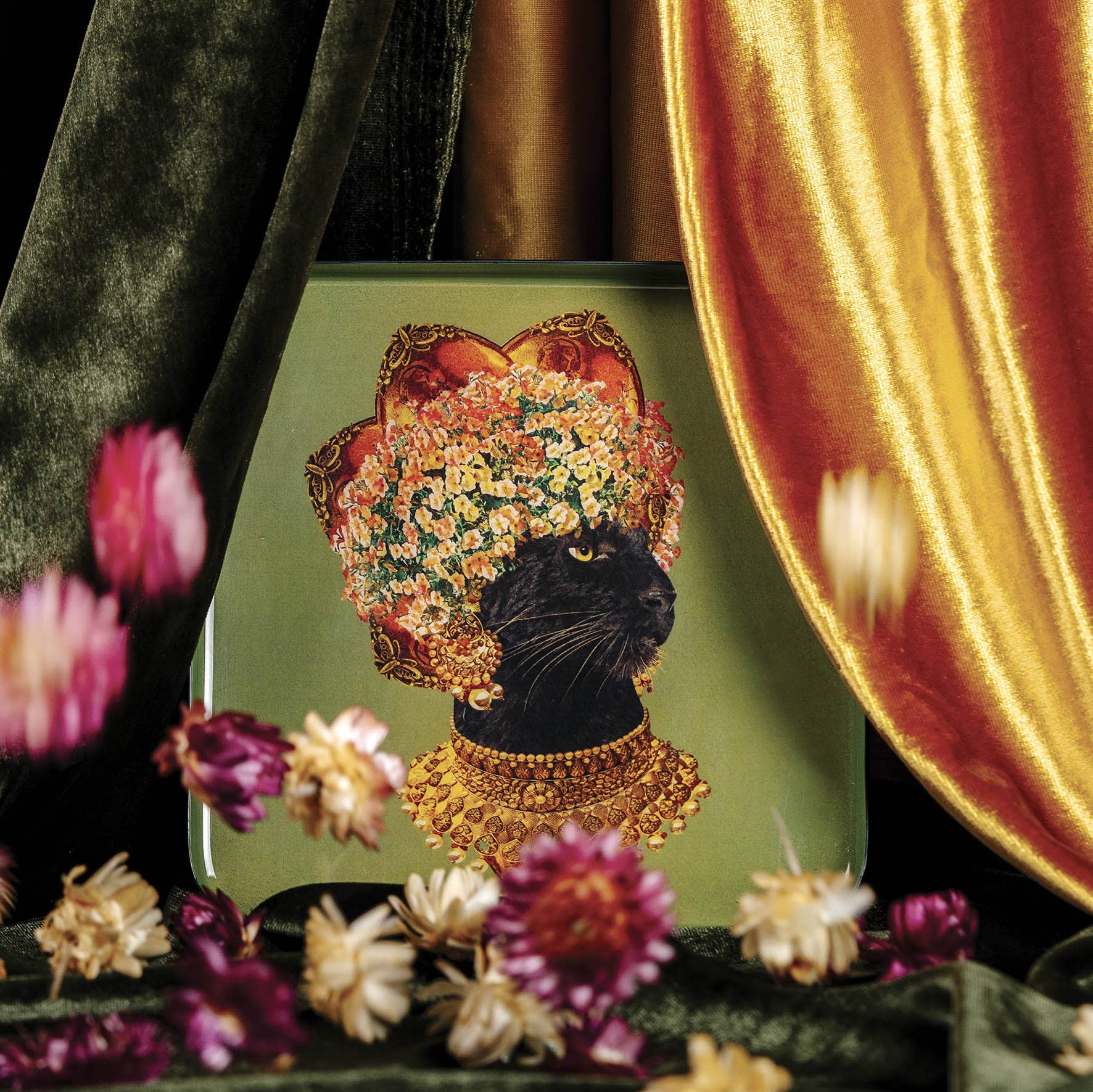 Baghera catchall