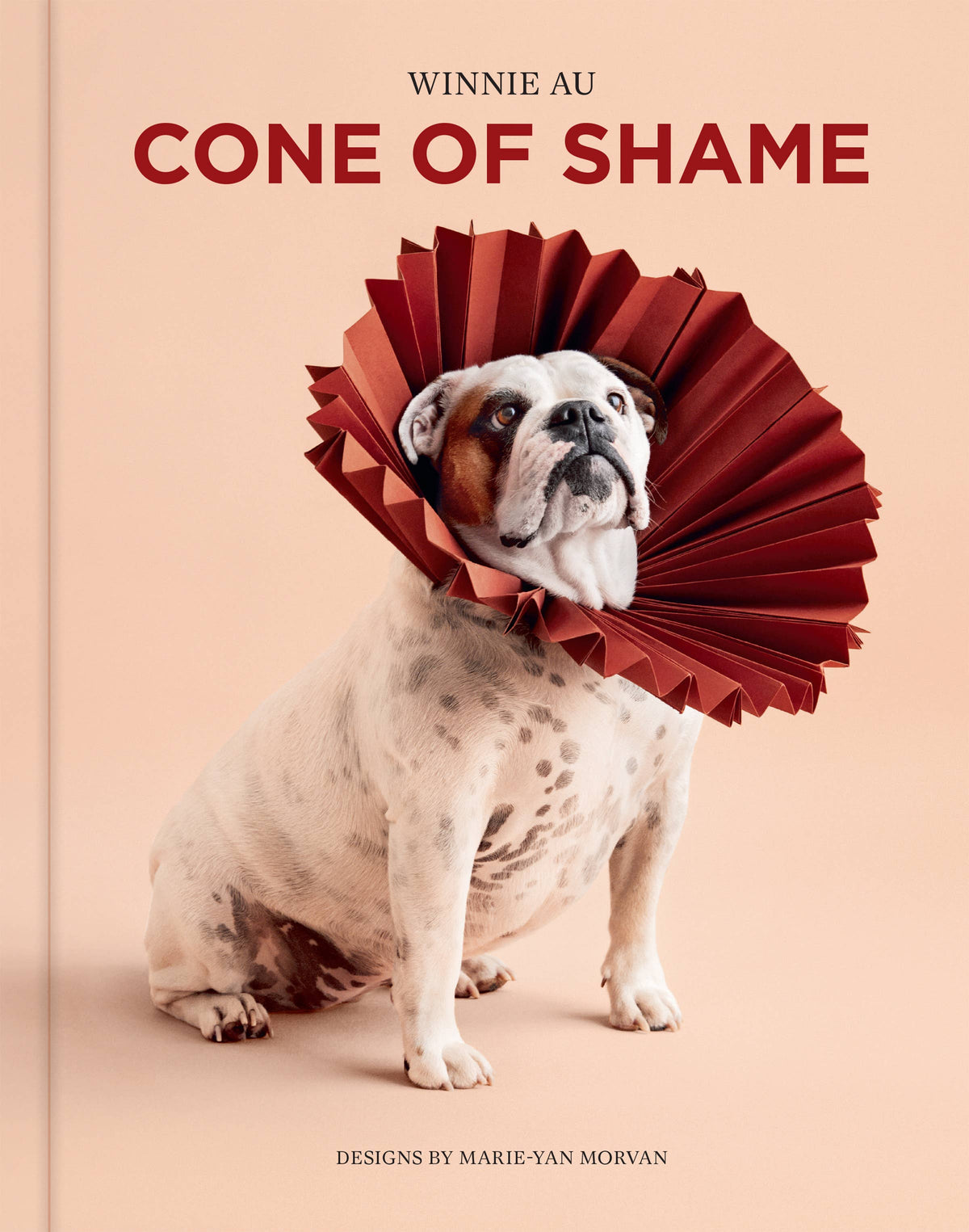 Book - Cone of Shame