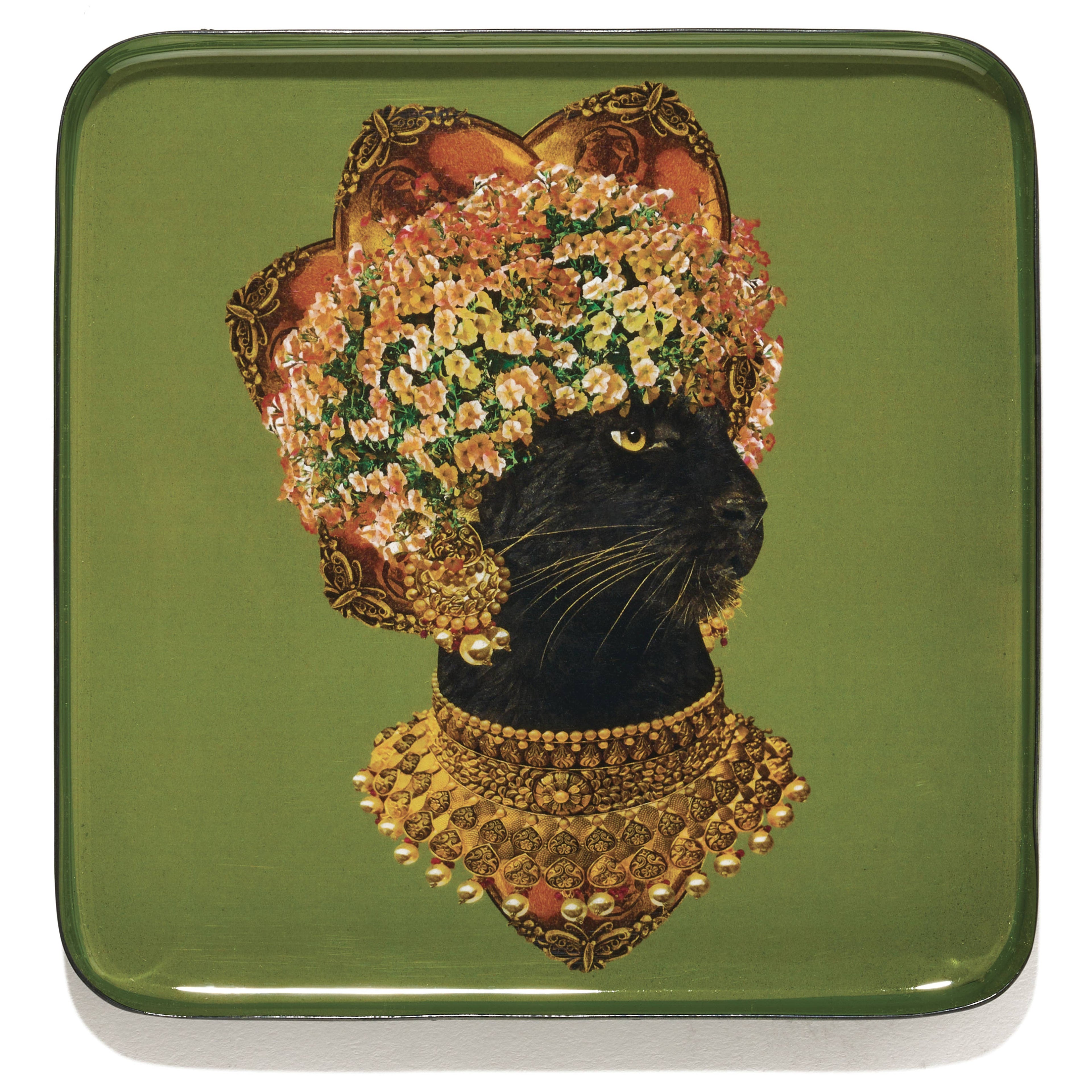Baghera catchall