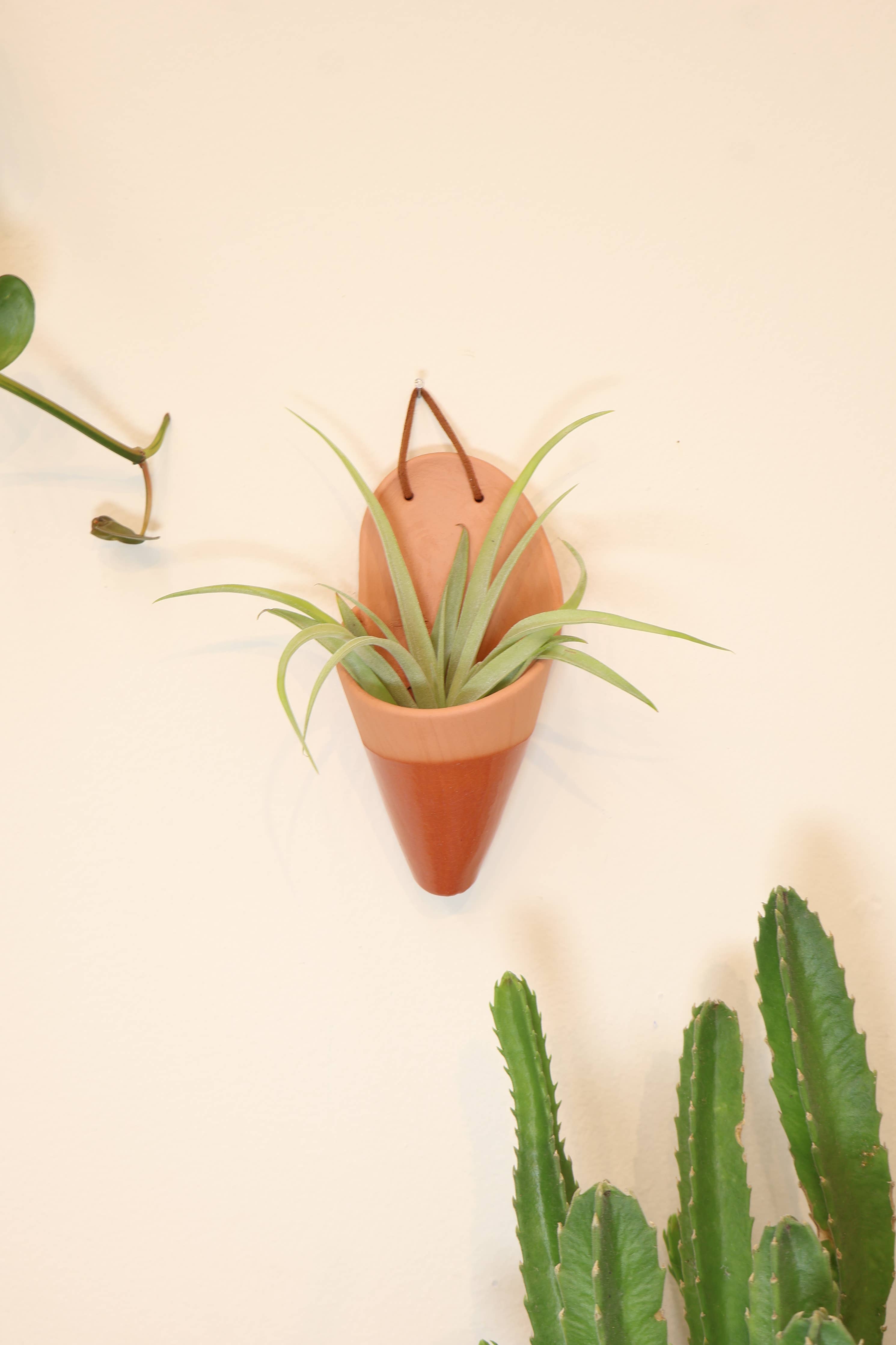 Medium Ceramic Cone