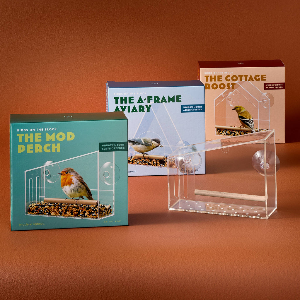 Bird Feeders - Birds on the Block
