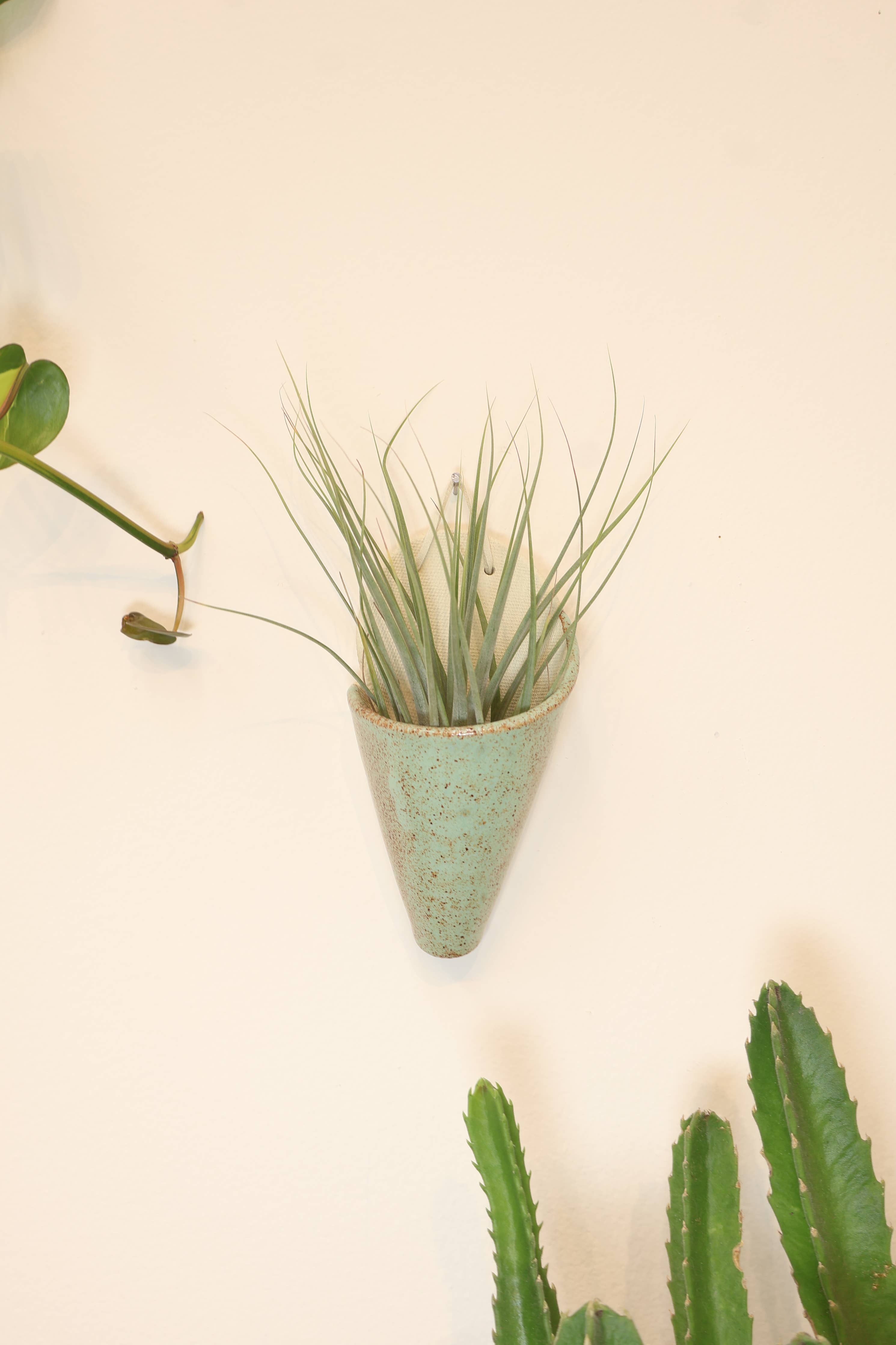 Medium Ceramic Cone