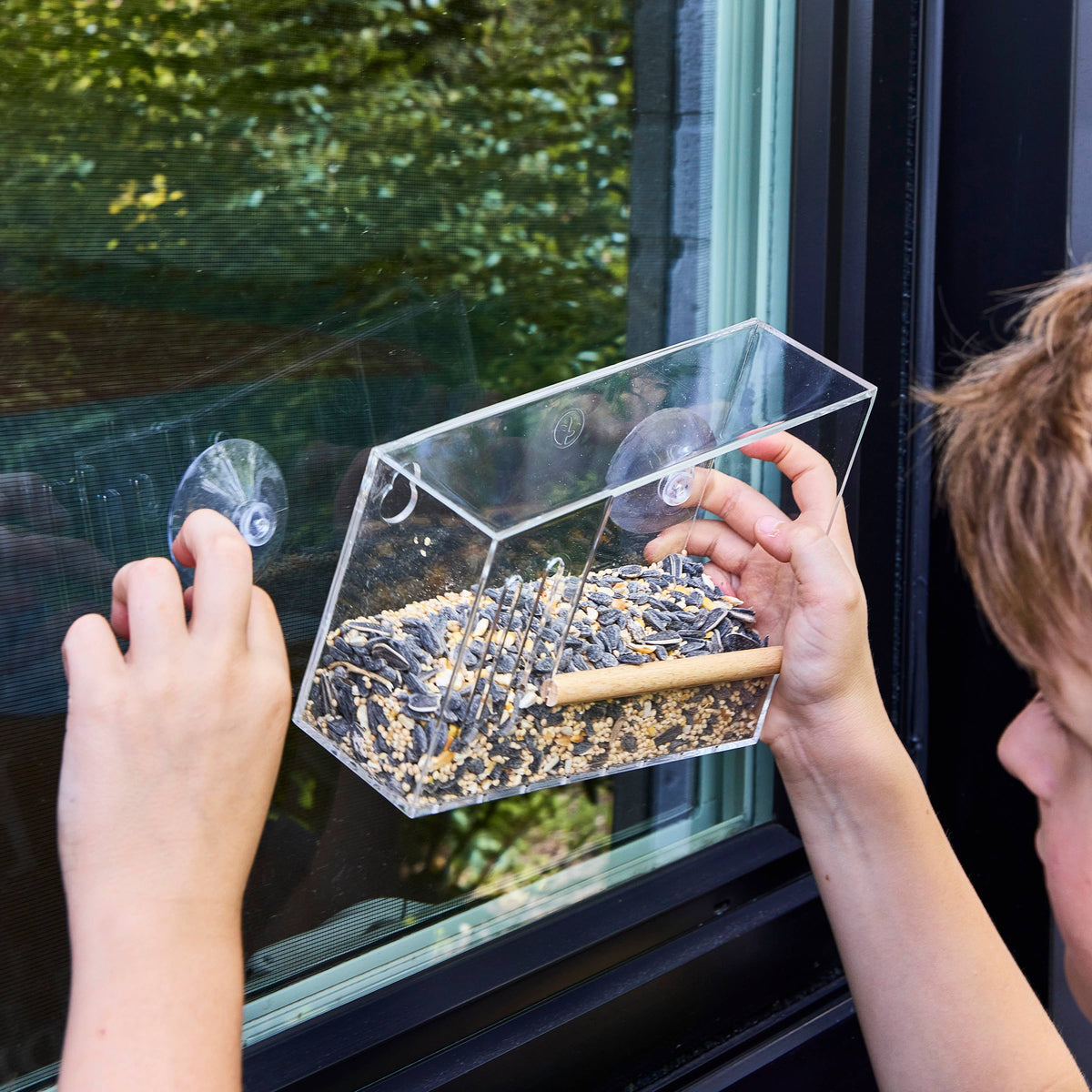 Bird Feeders - Birds on the Block