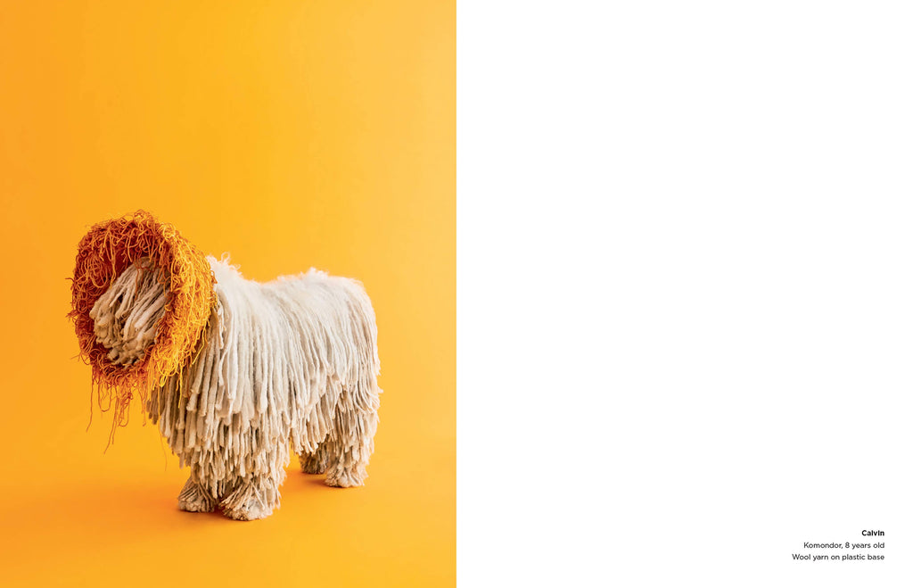 Book - Cone of Shame