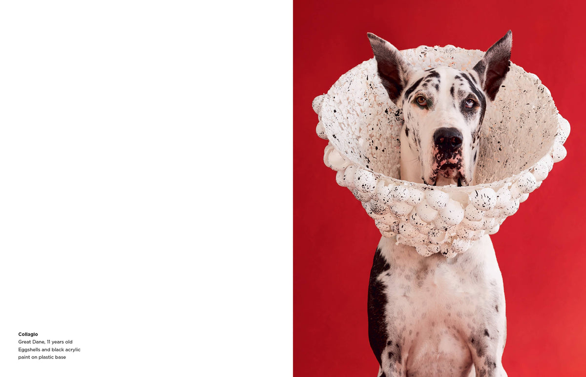Book - Cone of Shame