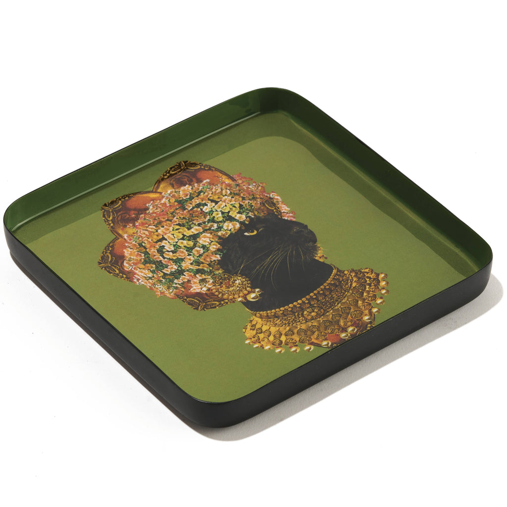 Baghera catchall