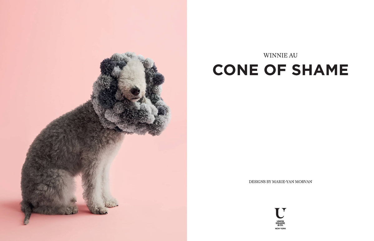 Book - Cone of Shame