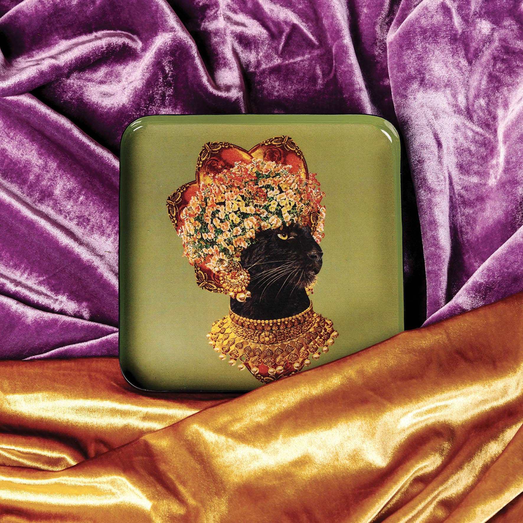 Baghera catchall