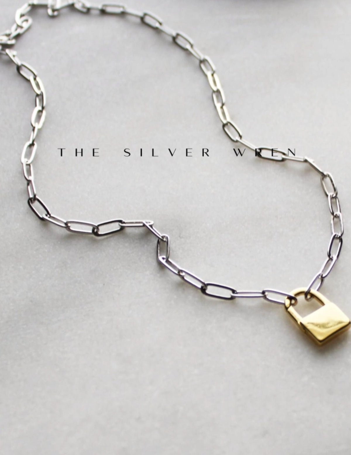 Necklace - Two Tone Padlock