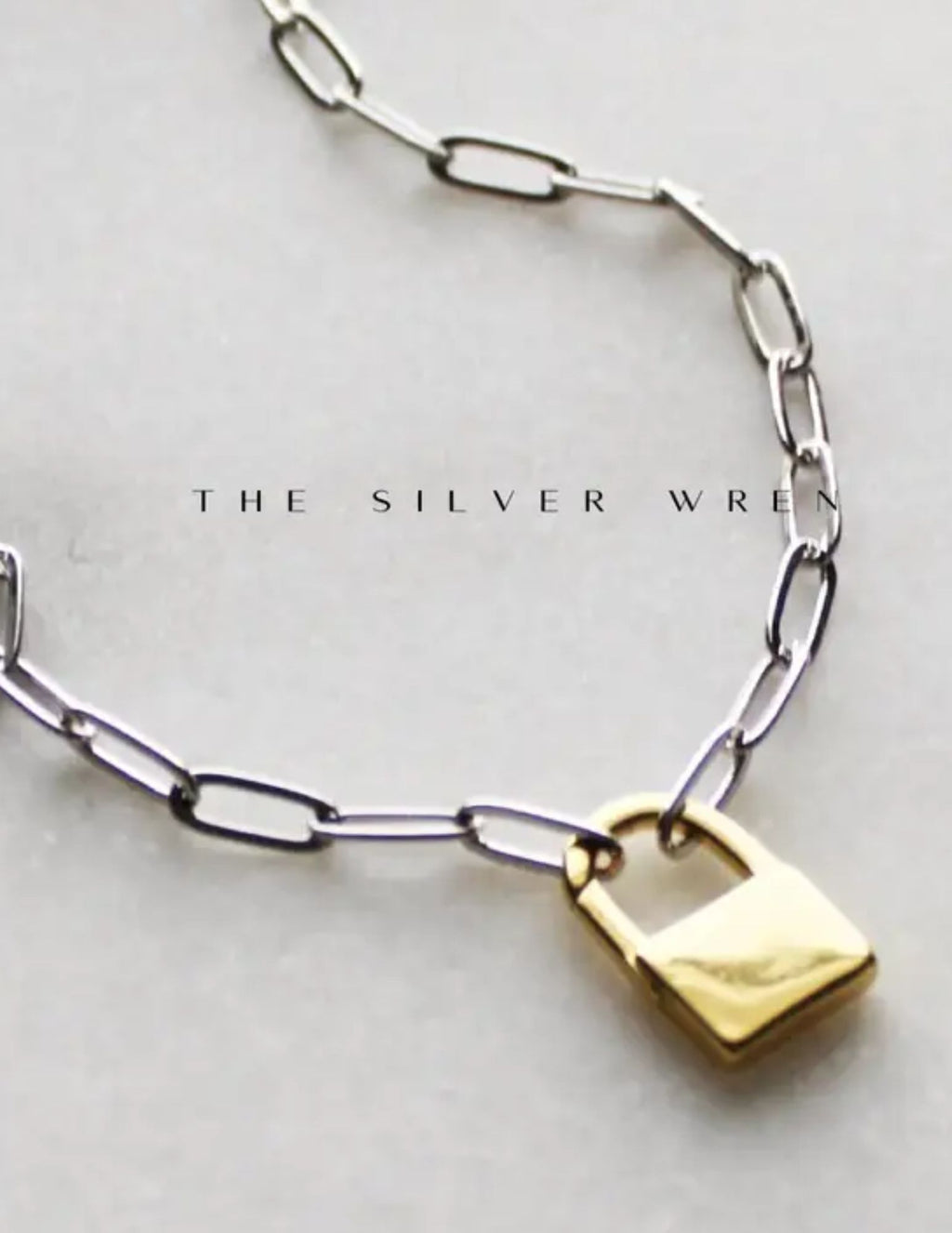 Necklace - Two Tone Padlock