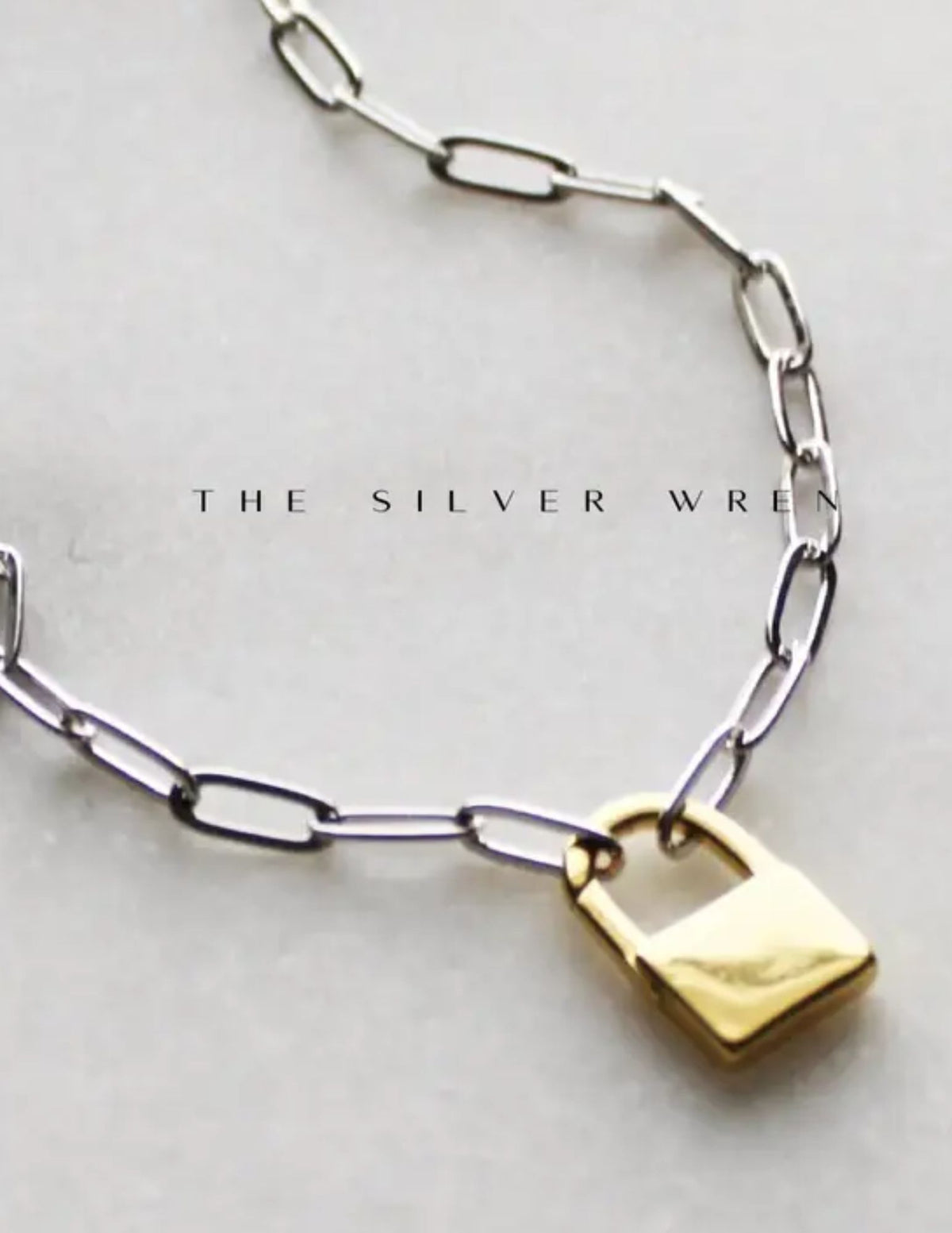 Necklace - Two Tone Padlock
